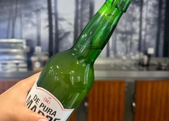 Hotel Hello Astur Bimenes